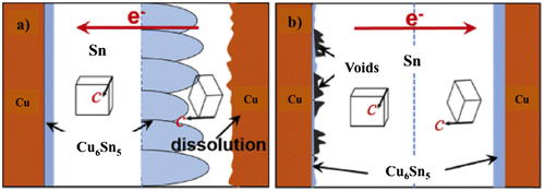 Figure 6. Schematic diagram of two β-Sn grain interconnects separated by grain boundaries with different electron flows: (a) forward direction and (b) reverse direction [Citation112].