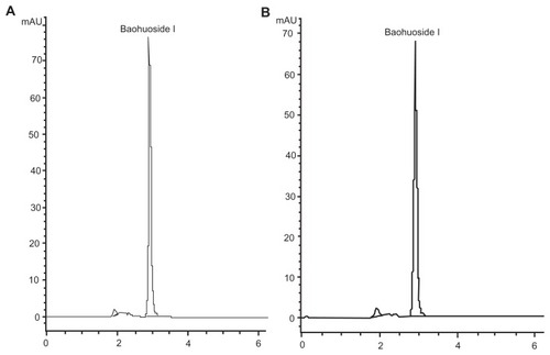 Figure 3 Chromatograms of (A) baohuoside I and (B) a nanoscale baohuoside I-phospholipid complex (81 ± 10 nm).