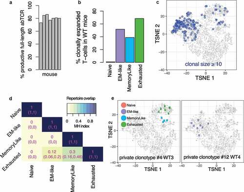 Figure 3., Clonal relatedness of CD8 TIL states