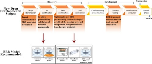 Figure 4 Applications of BBB models in drug discovery and development.