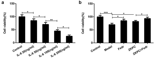 Figure 1. (a) IL-6 at different concentration was utilized to stimulate 16-HBE cells for 6 h. (b) ZKPC increased cell viability in IL-6-stimulated 16-HBE cells. *P < 0.05, **P < 0.01, ***P < 0.001. Model: 16-HBE cells received 50 ng/mL IL-6 treatment for 6 h. Fedr: 16-HBE cells were co-treated with IL-6 and Fedratinib. ZKPC: HBE cells were stimulated with IL-6, Fedratinib, and Zhike Pingchuan granule. Each experiment was repeated at least three times. Data was presented as mean±SD