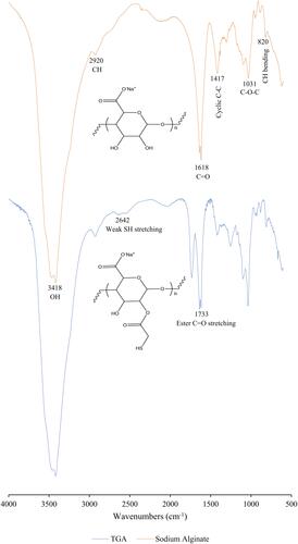 Figure 4 FTIR spectra of alginate and TGA.