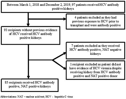 Figure 1. Flow chart of selection of the patients. NAT: nuclear acid test; HCV: hepatitis C virus