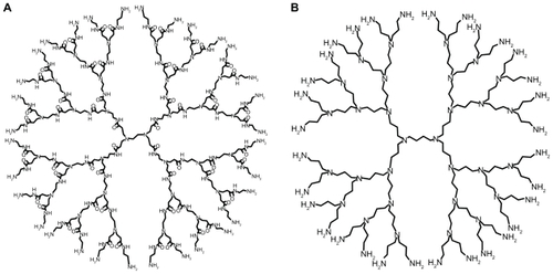 Scheme 1 Molecular structures of PAMAM (A) and PPI (B) dendrimers.Abbreviations: PAMAM, polyamidoamine; PPI, polypropylenimine.