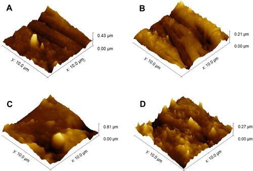Figure 7 The example of AFM 3D images (10 μm x 10μm) of implant surfaces: (A) upper part of the pure abutment, (B) lower part of the pure abutment, (C) upper part of ZnO+0.1%Ag coated implant abutment, (D) lower part of ZnO+0.1%Ag coated implant abutment.