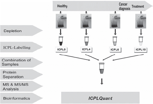 Figure 1. Workflow of ICPL-based proteomics of human blood plasma.
