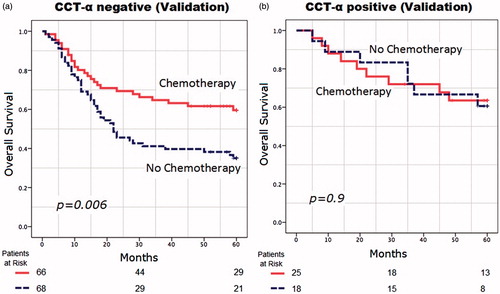 Figure 4. Overall survival in months from randomization in (a) choline-phosphate cytidylyltransferase-α (CCT-α)-negative patients (n = 132) and (b) CCT-α-positive patients (n = 43) enrolled in the validation data set.