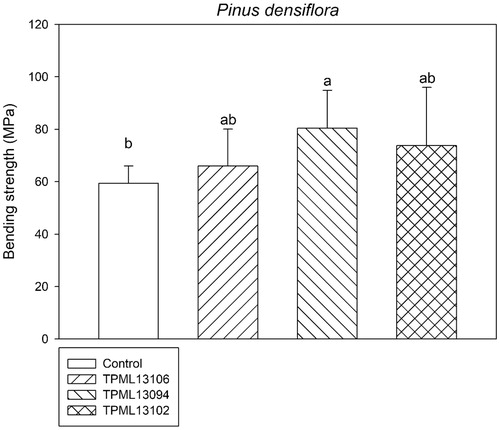 Figure 3. Comparison of the bending strength of Pinus densiflora wood blocks treated with the selected Streptomyces spp. for 120 days after inoculation with Gloeophyllum trabeum. Means with the same letter on the bar are not significantly different, based on Tukey’s honestly significance difference test (p = .017 at 95% confidence interval).