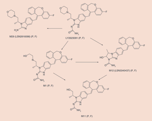 Figure 4. Proposed metabolic pathways and plasma metabolites for LY2623091 in healthy human subjects. F: Feces; P: Plasma.