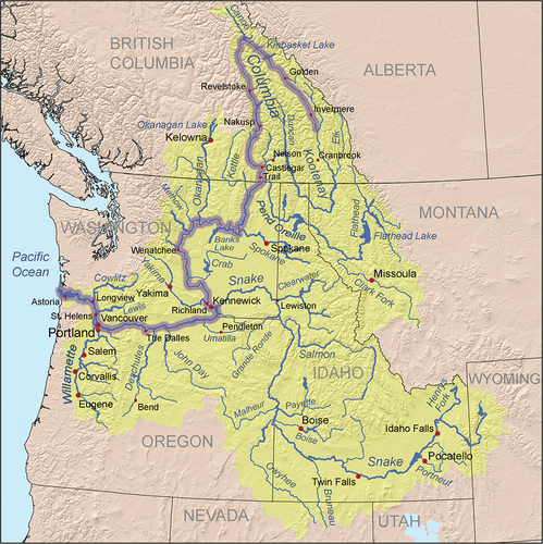 Figure 1. Geography of the Columbia River in Canada and the United States. The purple line denotes the mainstem of the Columbia River.