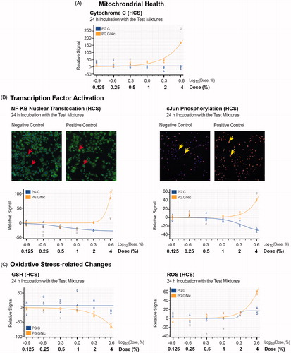 Figure 8. Toxicity-related mechanisms assessment of liquid mixtures in NHBE cells. A, Mitochondrial health; B, transcription factor activation, C, oxidative stress-related changes were measured in NHBE cells incubated for 24 h with PG.G or PG.G/Nic mixtures using HCS assays. The area under the curve was plotted after normalization against the vehicle control (no detected signal). Values that are not automatically included in curve fitting computations by the software are shown in gray. Abbreviations: GSH: glutathione NF-κB: nuclear factor kappa B; ROS: reactive oxygen species.