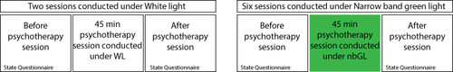 Figure 1 Experimental design.