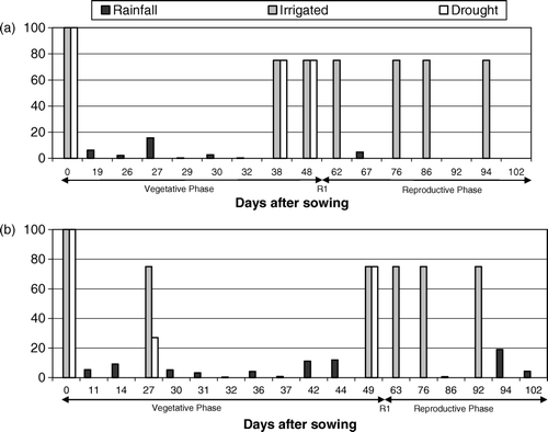 Figure 2.  Natural rainfall and water applied through supplemental irrigation for sunflower genotypes irrigated for either the entire growing season (Irrigated) or only during vegetative development (Drought) during year (a) 2005 and (b) 2006.