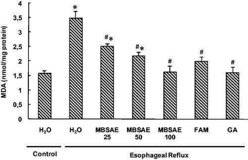 Figure 3. Effect of MBSAE, famotidine (FAM) and gallic acid (GA) on ER-induced changes in esophageal MDA levels. Animals were treated with various doses of MBSAE (25, 50 and 100 mg/kg, p.o.), FAM (20 mg/kg, b.w., p.o.), GA (50 mg/kg, p.o.) or vehicle (H2O) during 6 h after ER induction. The data are expressed as mean ± SEM (n = 10). *p < 0.05 compared to the control group and #p < 0.05 compared to the ER group.