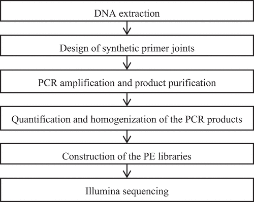 Figure 1. The sequencing process.
