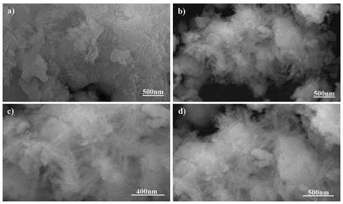 Figure 3. SEM Micrographs of (a) pure Phase and (b) silver substituted samples