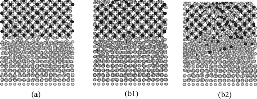 Figure 9 Distribution of atoms projected onto x-z plane in the simulation of contact of PuFe2 and Fe. Black and gray particles represent Pu and Fe atoms, respectively. (a) 0 ps (T = 1600 K), (b1) 3000 ps (T = 1500 K) and (b2) 3000 ps (T = 1600 K)
