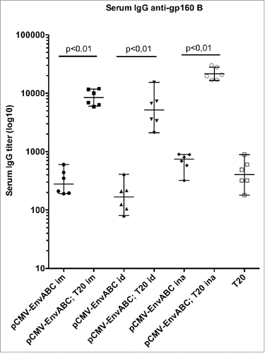 Figure 2. Antibody titers to HIV-1 gp160 subtype (B) following pCMV-EnvABC and T20 peptide immunization. Six mice in each group were immunized with pCMV-EnvABC (20 µg) with T20 peptide (2 µg). Immunogens were given intramuscularly (im), intradermally (id) or intranasally (ina). Sera or tissue antibody levels were assayed by ELISA. Median IgG titers and ranges are shown.