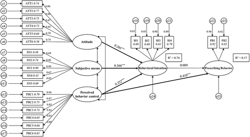 Figure 2 The results of SEM.