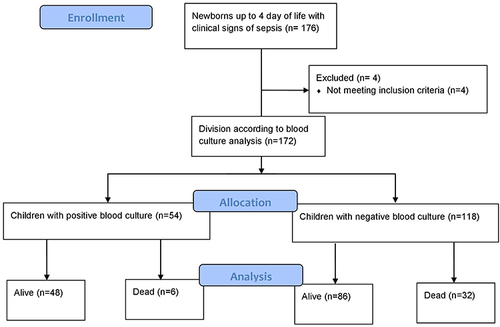 Figure 1 Patient flow chart for infants included in the research.