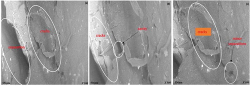 Figure 8. Micrograph of the sample after fracture (a) 5 g of EGMA, (b) 10 g of EGMA and (c) 15 g of EGMA.