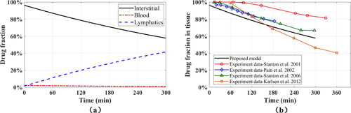 Figure 7. Prediction of the drug fractions for a time interval of 300 minutes. (a) Drug fractions in all compartments (model results). (b) Drug fractions in interstitial tissue – comparison between the MPET2 results and experimental data.