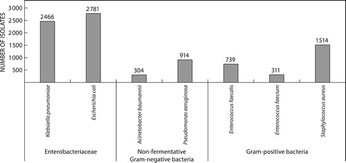Figure 1: Number of ESKAPE isolates identified from blood cultures, January to December 2016.