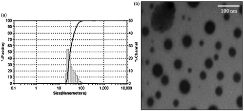Figure 6. (a) Globule size analysis and (b) TEM photomicrograph for the optimized batch of IRB-loaded SNEDDS.