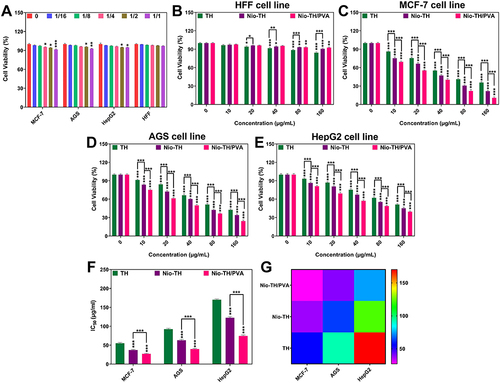 Figure 4 Different concentrations of TH, Nio-TH, and Nio-TH/PVA (0, 10, 20, 40, 80 and 160 μg/mL) were added to the cultured MCF-7, AGS, HepG2 and HFF cells seeded onto 96-well (2×105 cell/well) (A) The effect of different dilutions of Nio/PVA on cell viability in MCF-7, AGS, HepG2 and HFF cell lines. (B) Cytotoxicity evaluation of TH, Nio-TH and Nio-TH/PVA on HFF cell line. The impact of TH, Nio-TH, and Nio-TH/PVA on cell viability in (C) MCF-7, (D) AGS, (E) HepG2 cancerous cell lines. (F) Bar plot and (G) Heat-map of the IC50 levels in the three cancerous cell lines treated with nanodrug samples. Data are represented as mean ± SD and n=3; The p-values are *p < 0.05, **p < 0.01, ***p < 0.001.