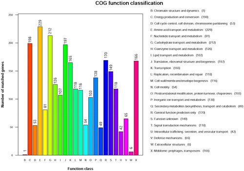 Figure 5. COG function classification of LYBC06 stain. Note: The predicted protein-encoding genes of LYBC06 strains in COG annotation, the most numerous category of metabolic pathways was amino acid transport and metabolism, followed by carbohydrate transport and metabolism and energy production and conversion.