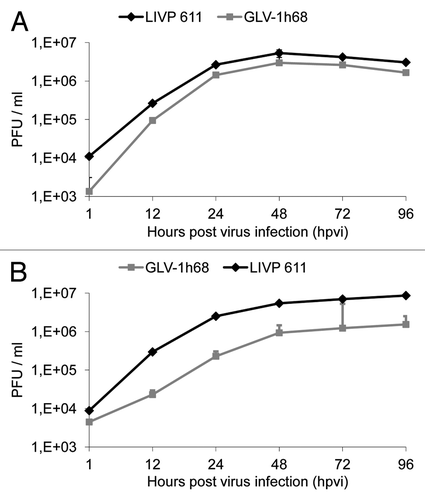 Figure 2. Replication capacity of the vaccinia virus strains LIVP6.1.1 and GLV-1h68 in different canine cancer cells. For the viral replication assay, STSA-1 (A) and DT08/40 (B) cells grown in 24-well plates were infected with either LIVP6.1.1 or GLV-1h68 at an MOI of 0.1. Cells and supernatants were collected for the determination of virus titers at various time points. Viral titers were determined as pfu per ml in triplicates by standard plaque assay in CV-1 cell monolayers. Averages plus standard deviation are plotted. The data represent three independent experiments.