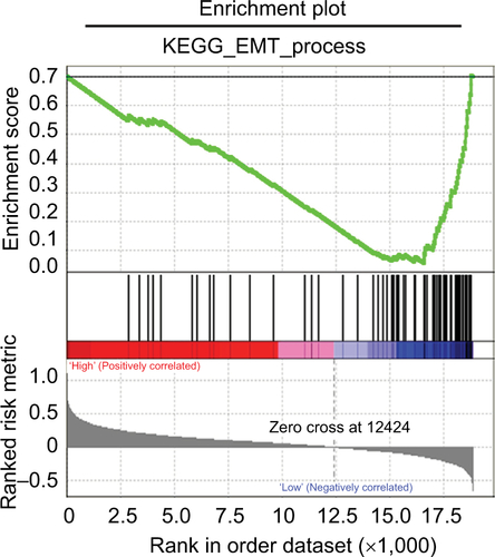 Figure S3 GSEA based on the data from TCGA.Abbreviations: EMT, epithelial–mesenchymal transition; GSEA, gene set enrichment analysis; TCGA, The Cancer Genome Atlas; KEGG, Kyoto Encyclopedia of Genes and Genomes.