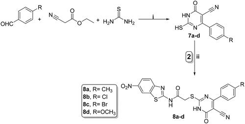 Scheme 3. Synthesis of benzothiazole/cyanothiouracil hybrids 8a–d; reagents and conditions: (i) EtOH, K2CO3, reflux 12 h and (ii) acetone, K2CO3, reflux overnight.