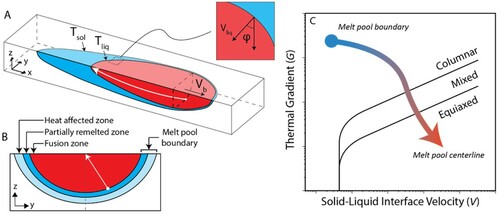 Figure 2. (a) Schematic of a melt pool formed during laser additive manufacturing for quasi-static conditions with the laser moving at a constant speed along velocity vector Vb and showing a representative path (white arrow) along the liquidus isotherm which is also shown (b) projected on the y–z plane (after [Citation53]). The solidification conditions along this path are represented schematically in (c) with respect to the solid–liquid interface velocity, V, and the magnitude of the resultant thermal gradient, G, and compared against an example prediction of columnar and equiaxed grain formation (after [Citation54]).