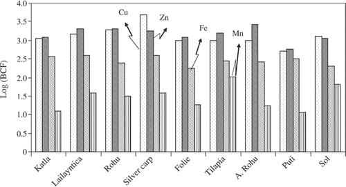 Figure 1. Bio-concentration factors of elements in fish species.