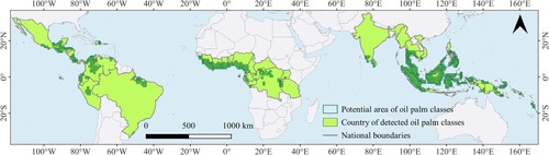 Figure 1. Study area of global oil palm subclass distributions in 2020. The soft green areas represent the countries included in this study. Dark green grids indicate the potential distribution area of the oil palm subclasses.