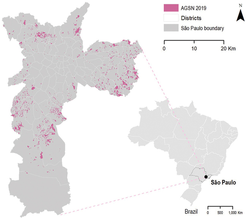 Figure 2. Study area Sao Paulo with substandard settlements in 2019. Source: (IBGE, Citation2019).