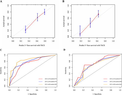 Figure 7 Calibration curves for predicting patients’ survival outcomes at 3 years (A) and 5 years (B) in the training set. Receiving operating characteristics (ROC) curves of the model to predict 1-, 3-, and 5-year OS in the training set (C) and validation set (D).