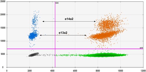 Figure 5. 2D scatter plots of ddPCR results. Droplets containing BCR::ABL1 and ABL1 transcripts are shown as blue and green, respectively. Droplets containing both BCR::ABL1 and ABL1 transcripts are orange, while empty droplets are gray. The two separate droplet populations represent different BCR::ABL1 transcript variants; the e14a2 transcripts exhibited higher fluorescence intensities than the e13a2 transcripts.