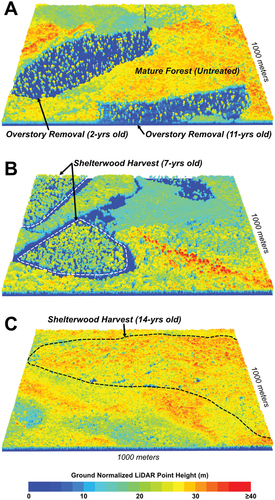 Figure 2. Airborne LiDAR tiles with point return height normalized to the ground surface depicting the four different timber harvest types and ages that the XGBoost model was trained to identify. (A) Two typical overstory removal plots (2-year old and 11-year old) along with intact mature forest (untreated class) (from −77.578°W, 41.653°N). Notice the ingrowth of the understory in the older overstory removal compared to the more recent plot. (B) Two 7-year old shelterwood harvest plots showing the systematic canopy gaps typical of such harvests (from −77.929°W, 40.968°N). (C) A rare 14-year old shelterwood harvest still displaying some of the same gap structure as shown in (B) (from −77.956°W, 41.291°N).