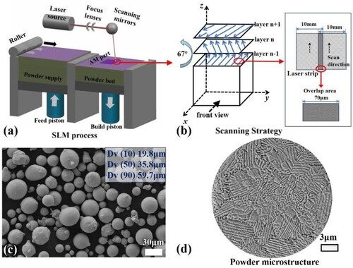 Figure 1. (a) SLM working principle; (b) The schematic diagram of the scanning method of the SLM forming process; (c) Powder morphology and particle size distribution; (d) Internal microstructure of the powder.