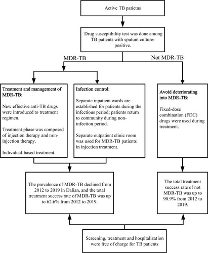 Figure 1 Strategies for the prevention and control of MDR-TB in Dalian.