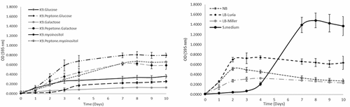 Figure 1. F. defendens bacterial growth curves in different media as was measured by total count using spectrophotometer. A. Defined media based on K9 minimal salt medium, supplemented with a carbon source (glucose, galactose, or myoinositol), with or without peptone. B. Rich non-defined media: S-medium, NB, LB (LB Miller and LB Luria). The results were calculated from five replicates samples assessed for each medium formulation in three repeated experiments.