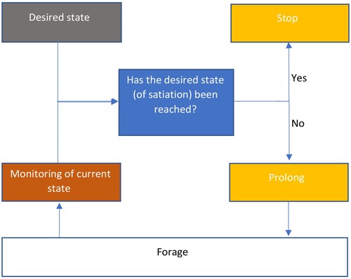 Figure 3. Flow chart showing foraging behaviour in the absence of constraints. Rust coloured boxes indicate monitoring and yellow boxes indicate acts of control. Blue boxes indicate evaluations and grey boxes indicate inputs that are temporally or physically ‘external’.