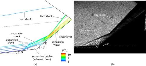 Figure 7. Case-3: computed normalized density contours using the shock-unsteadiness modified SA model (Sinha et al., Citation2005) (a) compared to the experimental Schlieren image of Holden et al. (Citation2014) at Mach 6 (b).
