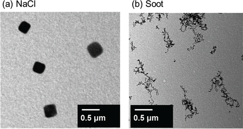 Figure 8. TEM images for (a) NaCl particles with mobility diameter of 300 nm and (b) propane soot particles with mobility diameter of 400 nm.