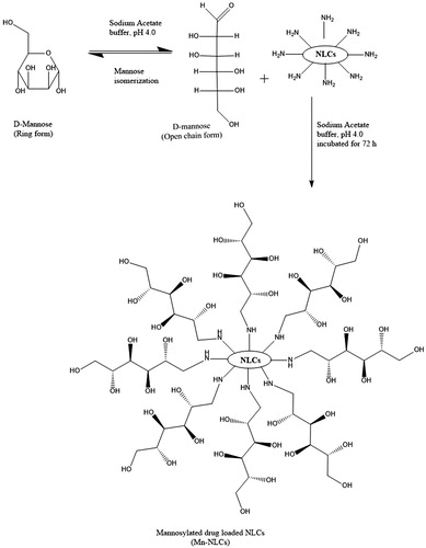 Figure 2. Schematic representation of preparation of mannosylated drug loaded NLCs.
