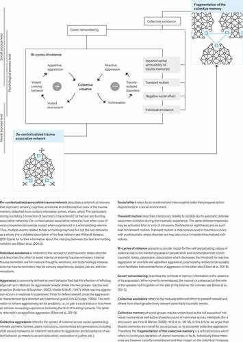 Figure 1. Theoretical model for the transfer of mental consequences of individual victimization and perpetration into an increasing fragmentation of the collective memory