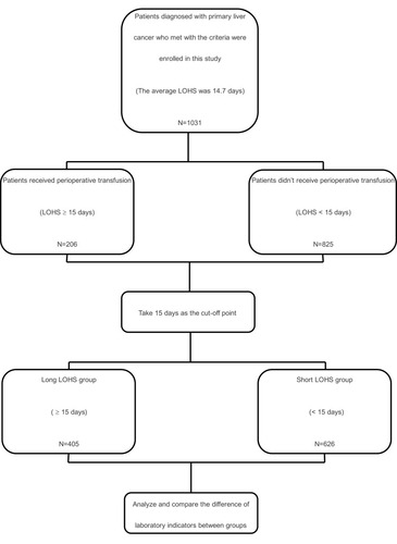 Figure 1 The flow chart of grouping in the study.