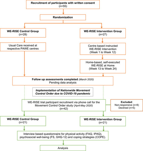 Figure 1 Study trial flow diagram.